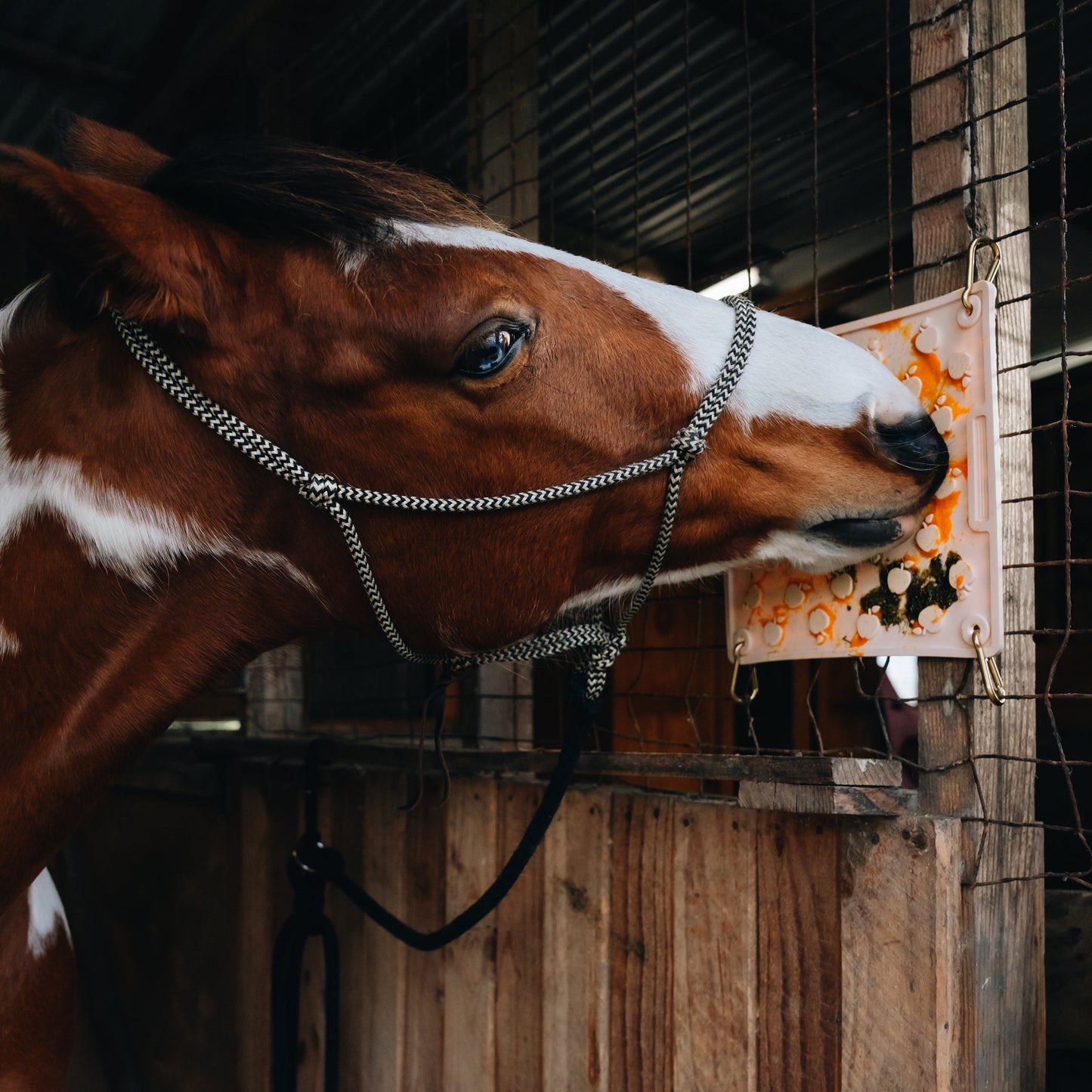 Equine Lick Mat + 4 Brass Carabiners