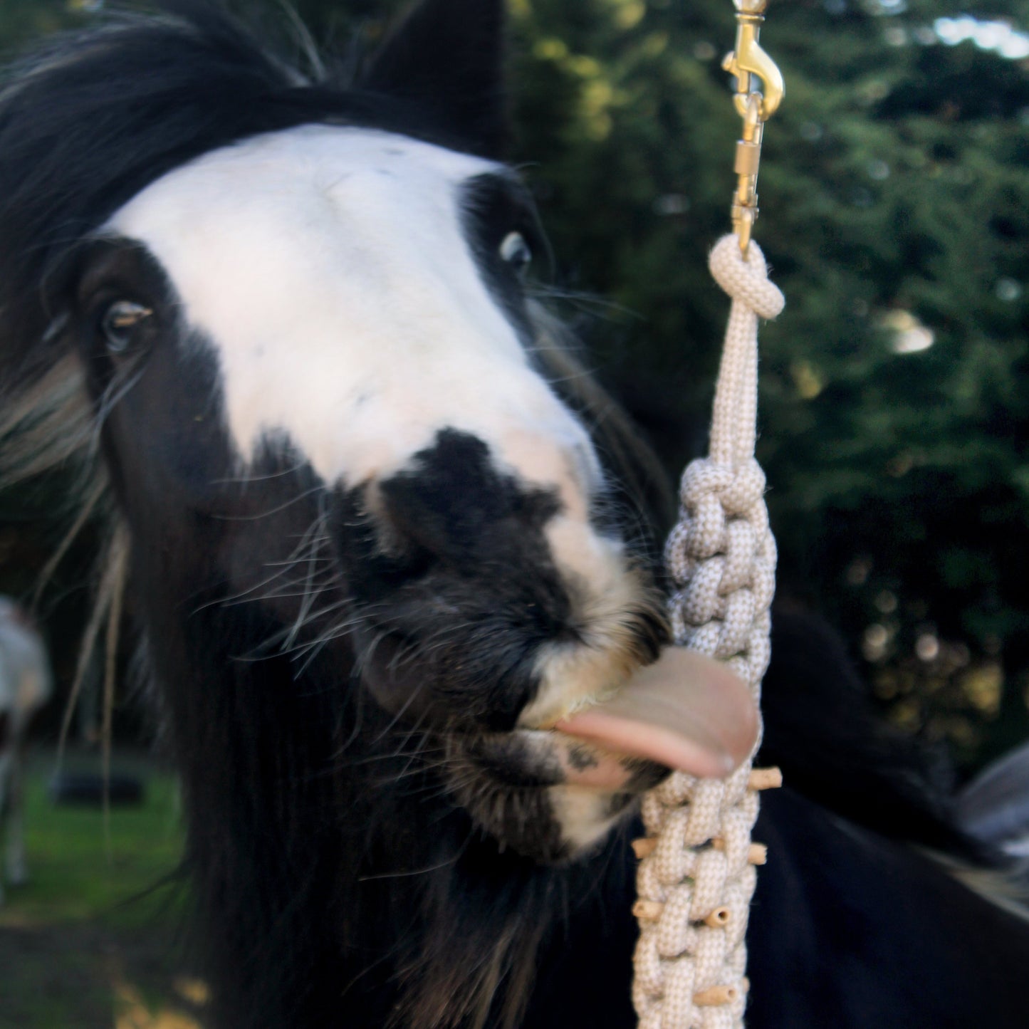 Nibble Rope